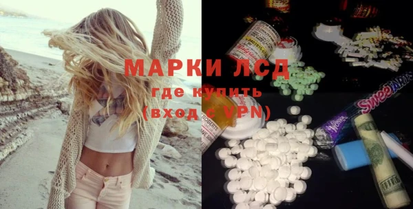 ПСИЛОЦИБИНОВЫЕ ГРИБЫ Алзамай