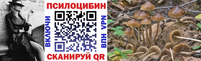 Псилоцибиновые грибы GOLDEN TEACHER Староминская