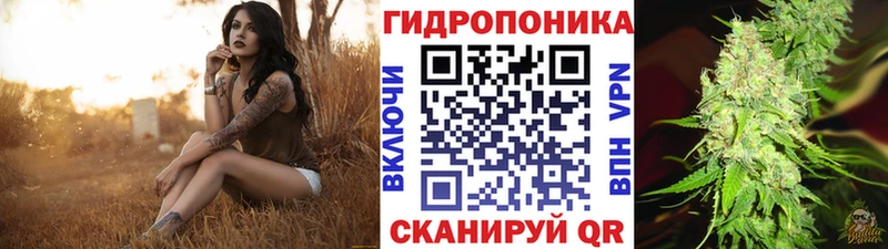 магазин продажи наркотиков Староминская blacksprut вход Марихуана семена